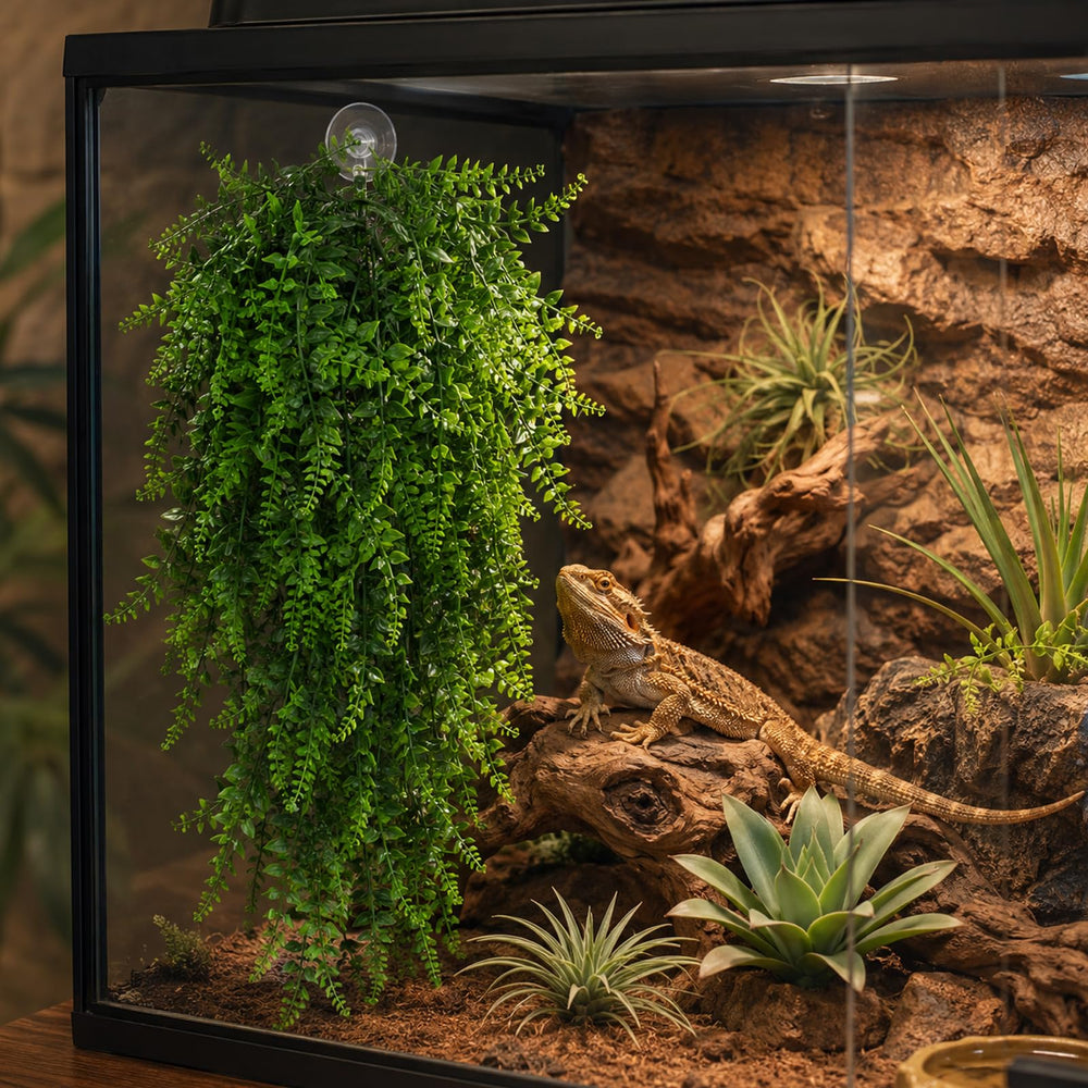 HERCOCCI ambiance tropicale dans terrarium, enrichit l'habitat et le visuel