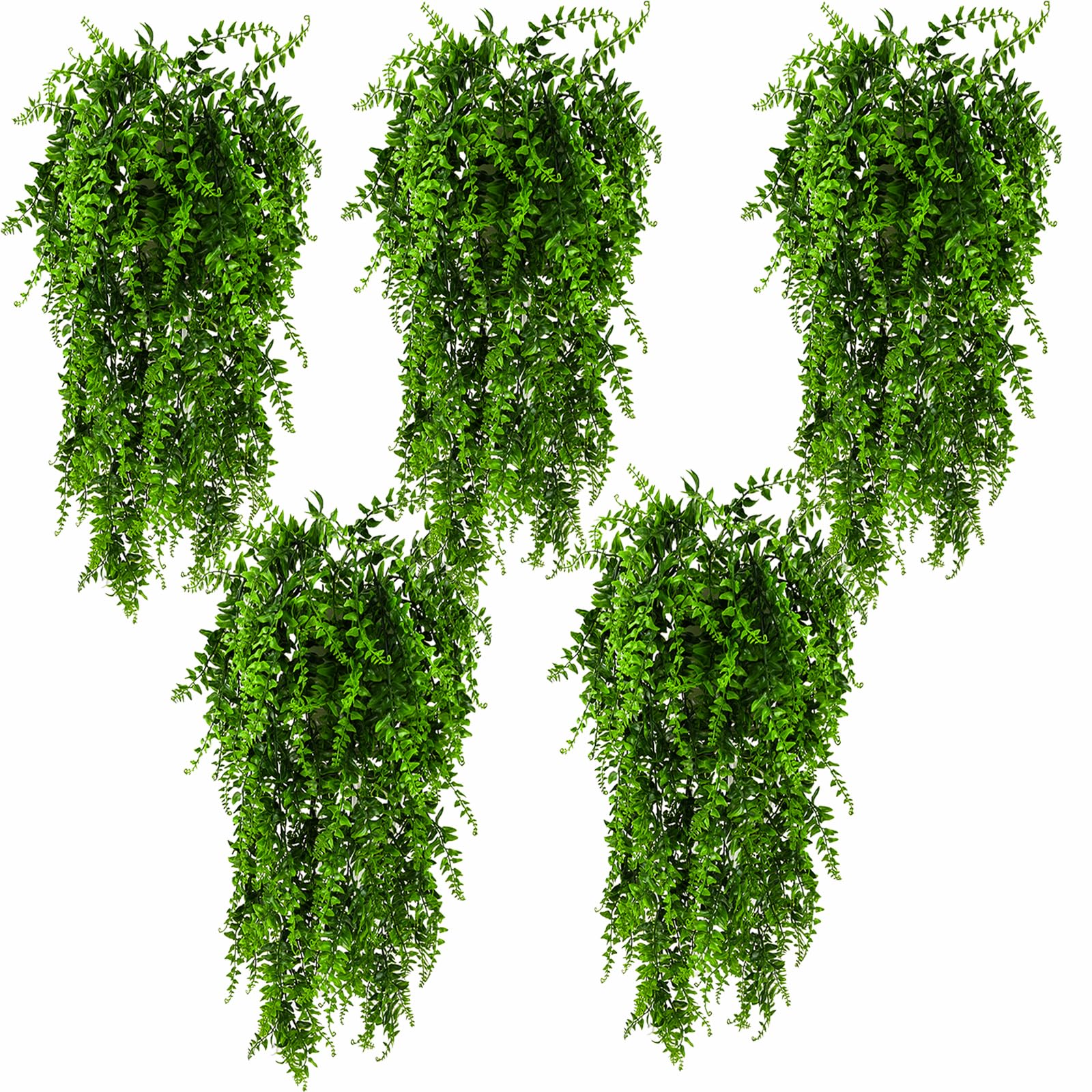 HERCOCCI emballage du lot 5 plantes montrant contenu et longueur utile