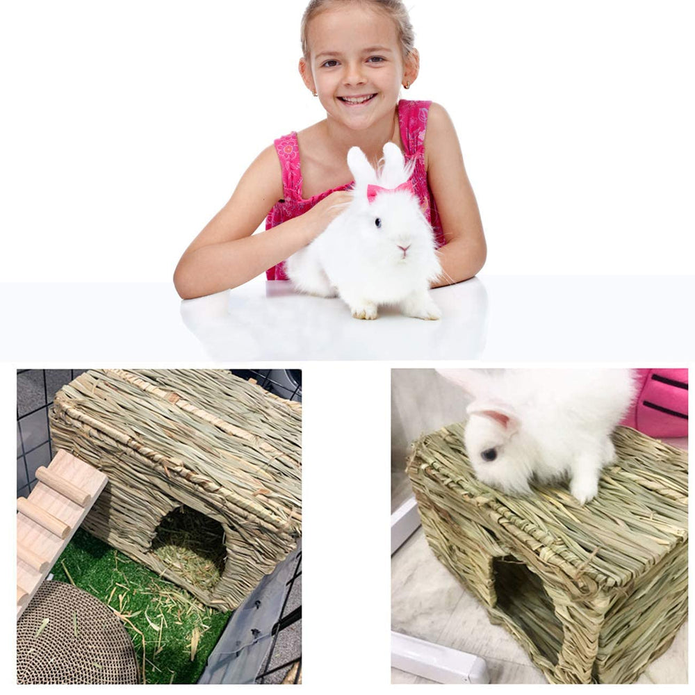 HERCOCCI maisonnette pliée pour rangement compact et transport facile