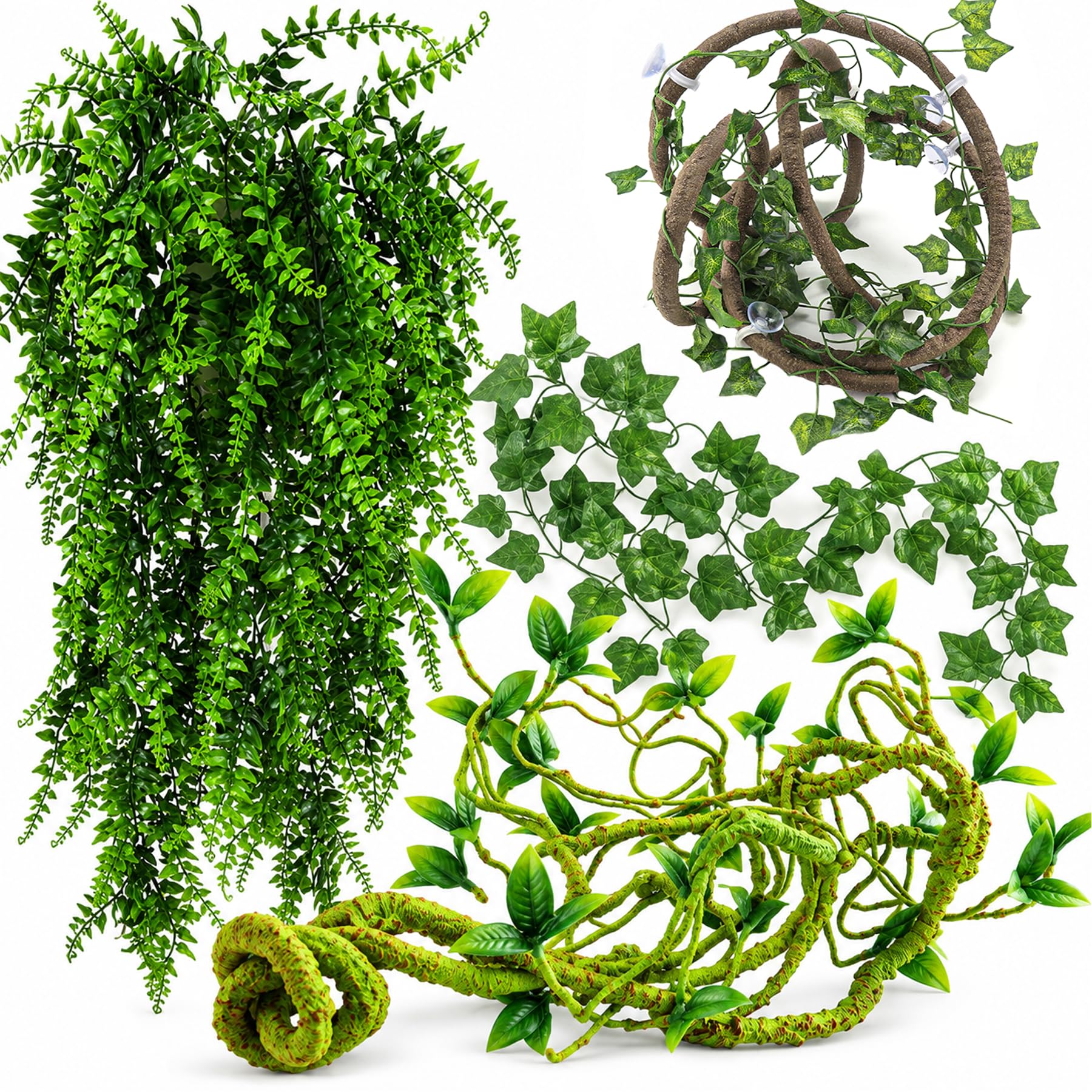 HERCOCCI vue avant du paquet montrant toutes les lianes pour décor de terrarium bénéfique