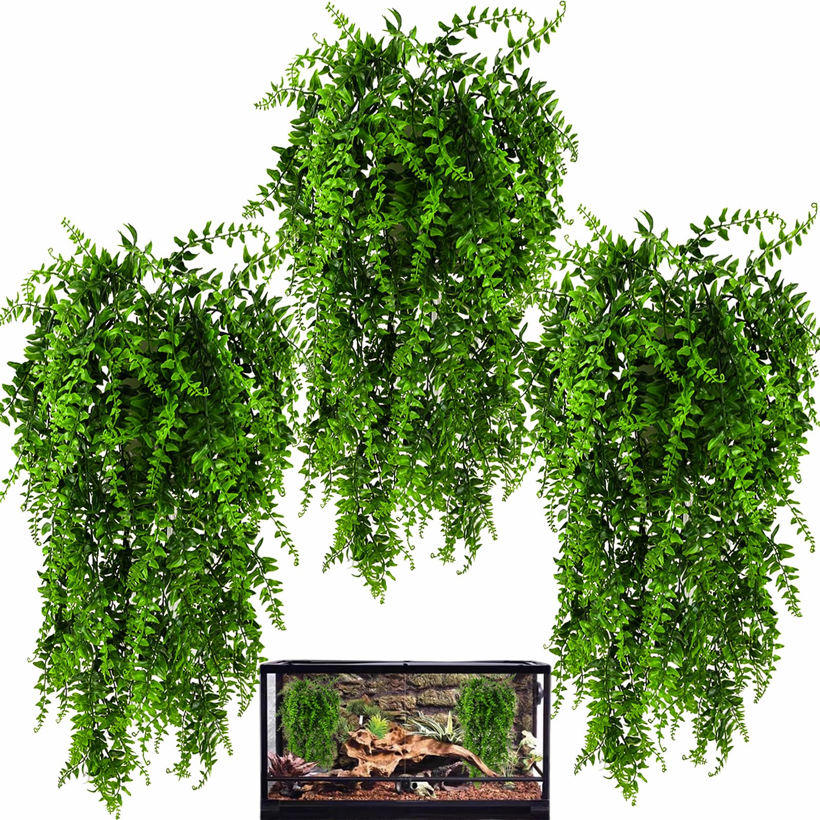 HERCOCCI plante terrarium face montrant décor naturel et sécurité