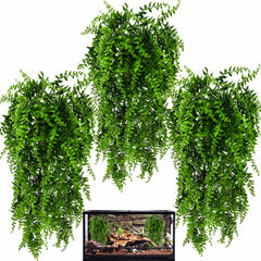 HERCOCCI plante terrarium face montrant décor naturel et sécurité