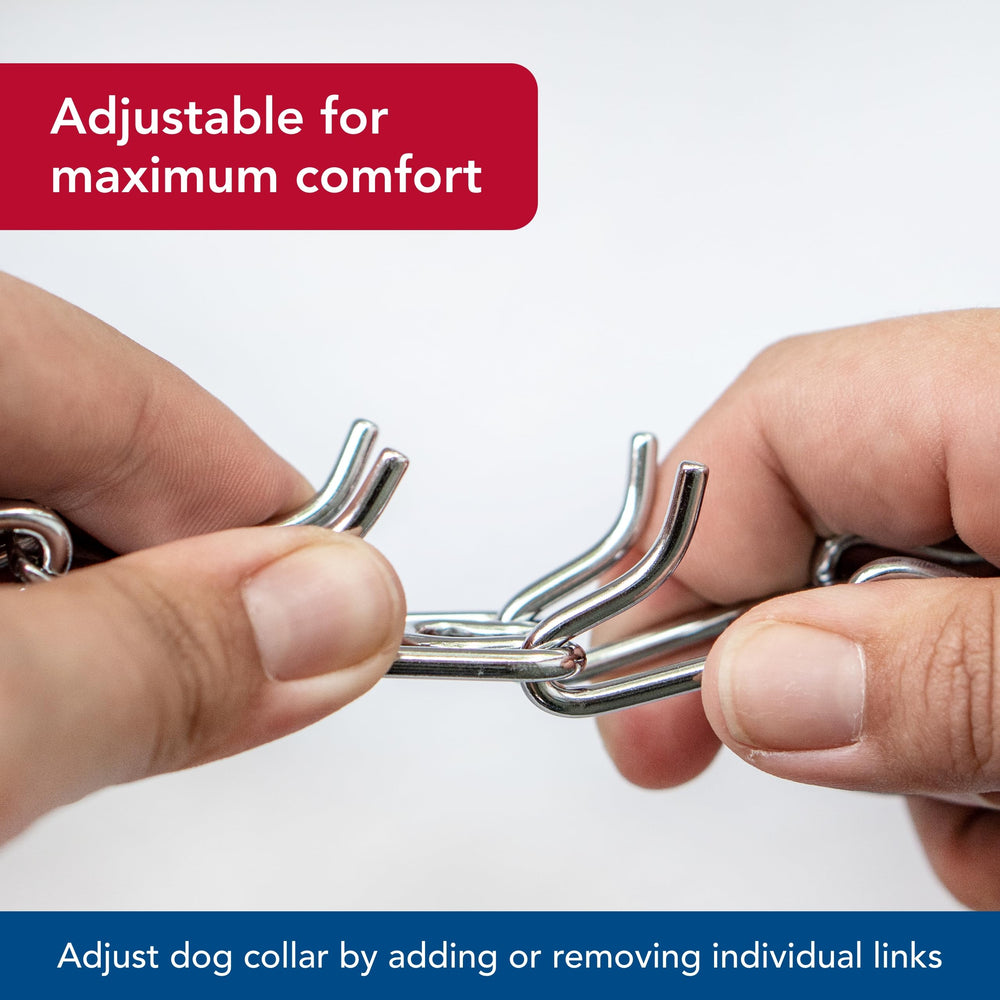 Herm Sprenger collier en usage avec chien montrant contrôle fiable