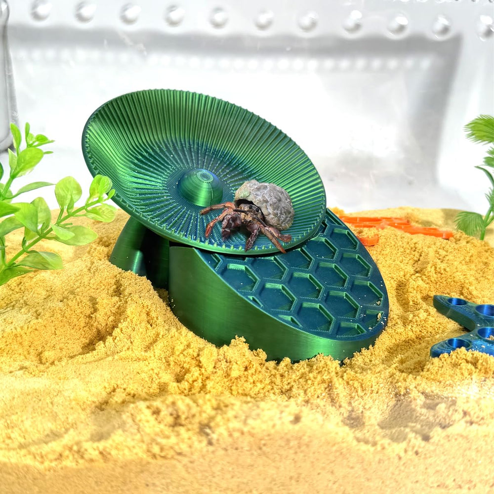 Generic hermit crabs mise en scène terrarium intègre la roue sans encombrer