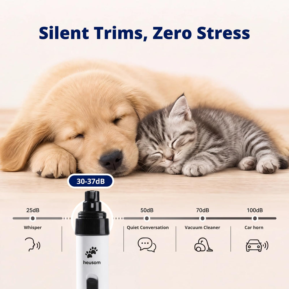 Heusom Silent Groom Pro zoom tête diamantée pour finition précise