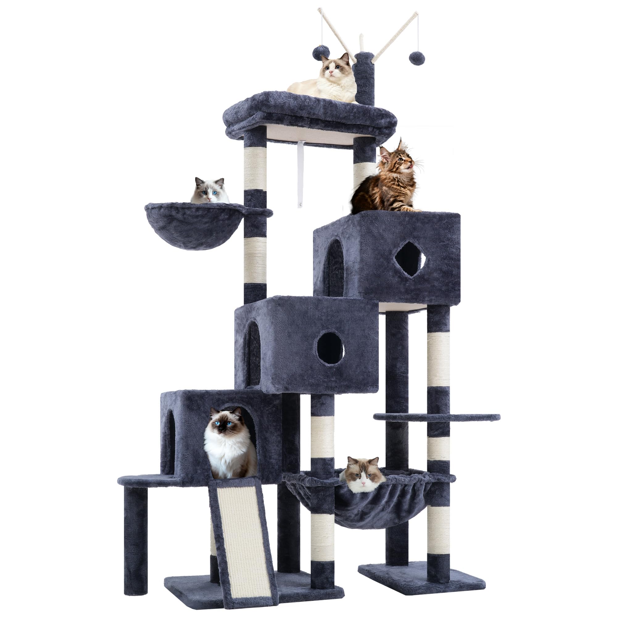 Hey-brother comparaison d'échelle montrant dimensions et échelle pour chats