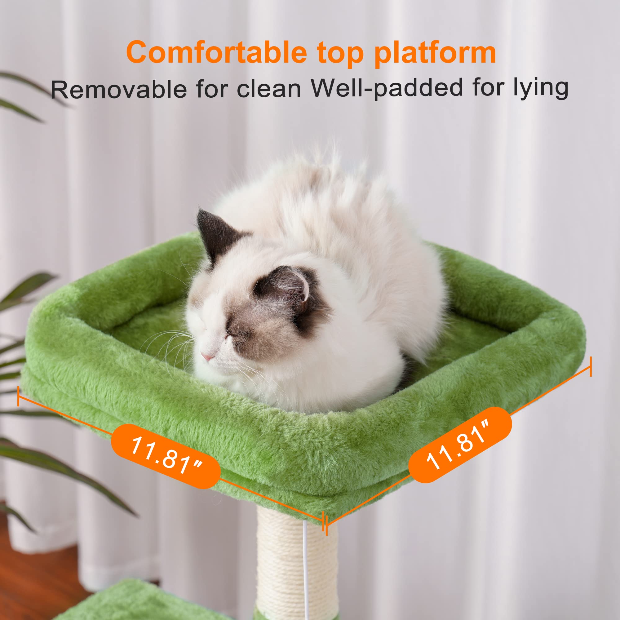 Heybly arbre à chat placé dans un salon d'appartement optimisant espace et divertissement