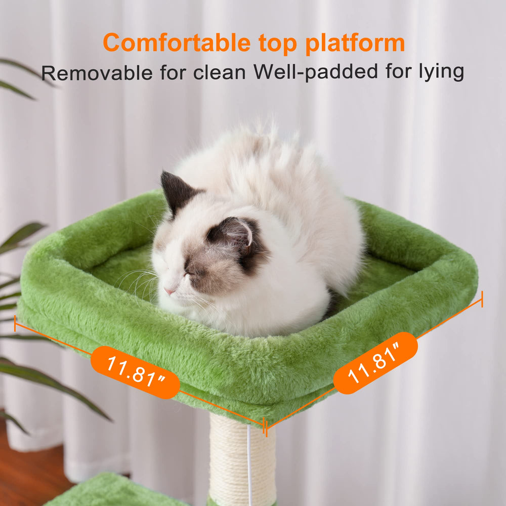 Heybly arbre à chat placé dans un salon d'appartement optimisant espace et divertissement