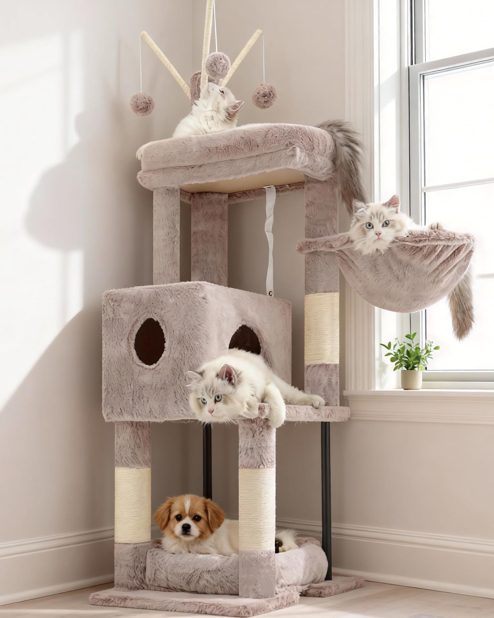 Heybly arbre à chat face avant montrant plateforme supérieure et condo pour observation