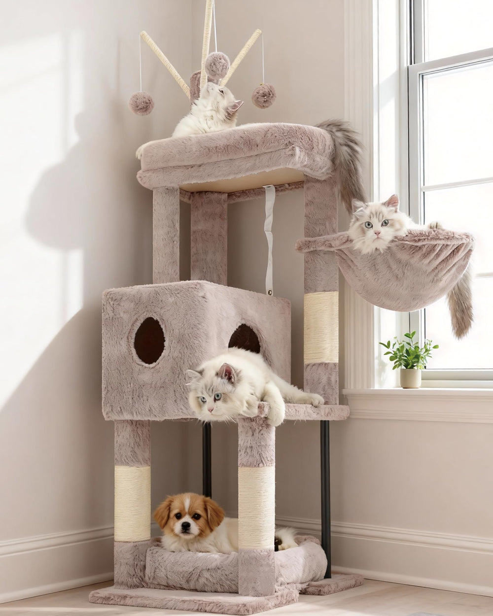 Heybly arbre à chat face avant montrant plateforme supérieure et condo pour observation