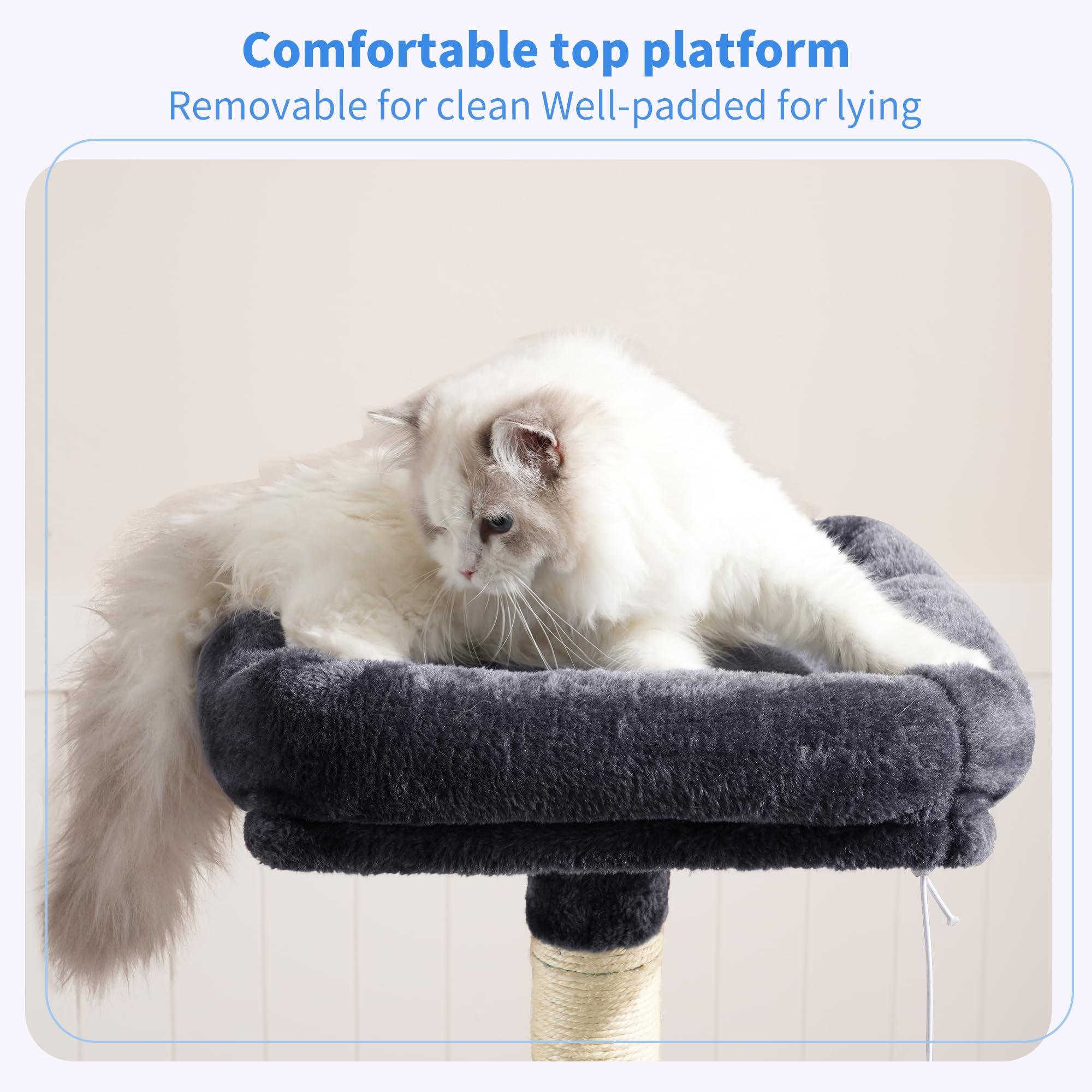 Heybly gros plan plate-forme supérieure rembourrée pour repos confortable