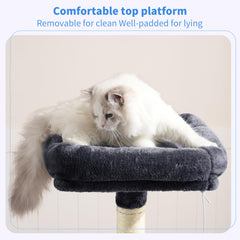 Heybly gros plan plate-forme supérieure rembourrée pour repos confortable
