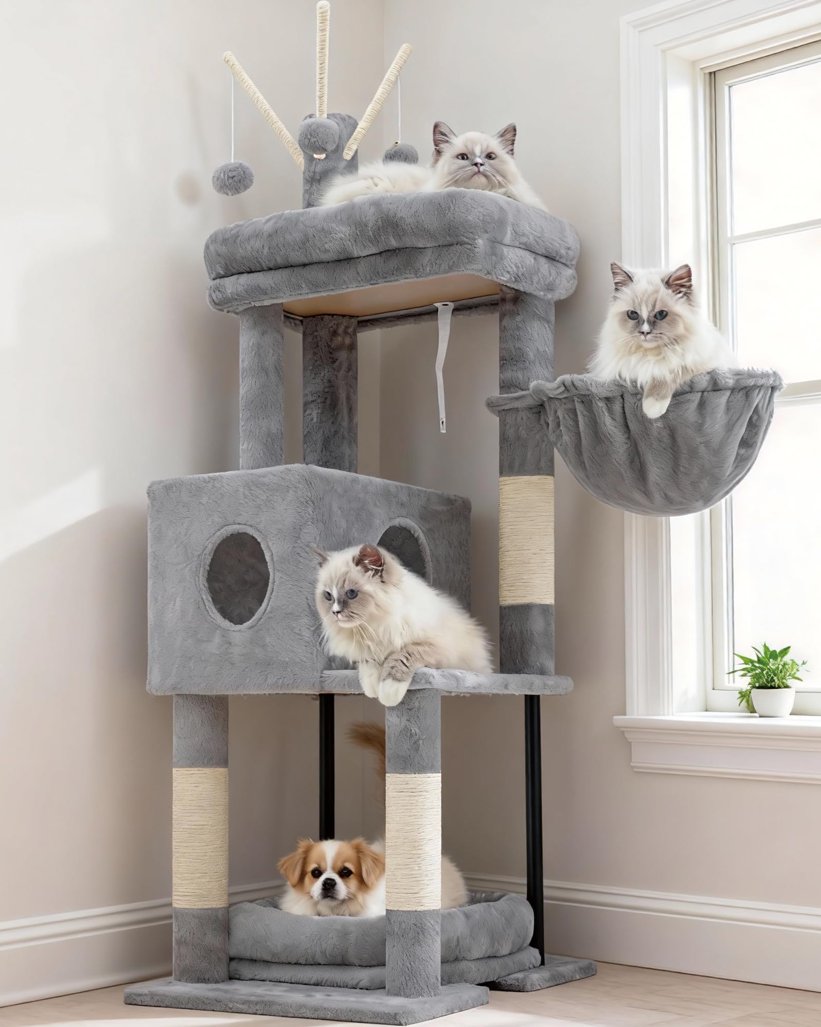 Heybly arbre à chat vue frontale montrant stabilité et multi-niveaux