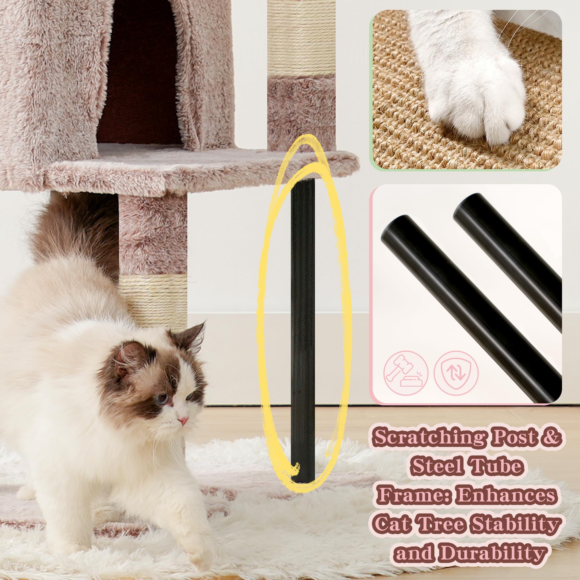 Heybly comparaison taille avec chat montre dimensions et capacité