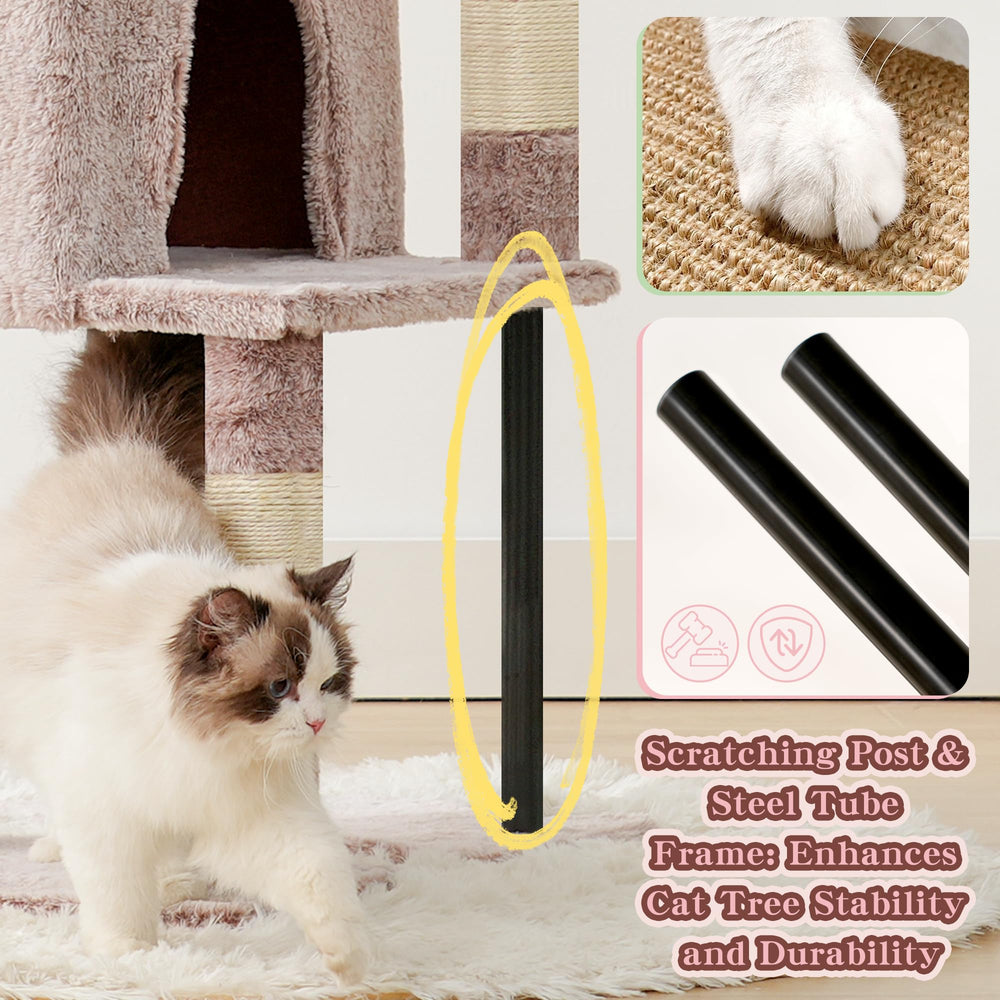 Heybly comparaison taille avec chat montre dimensions et capacité