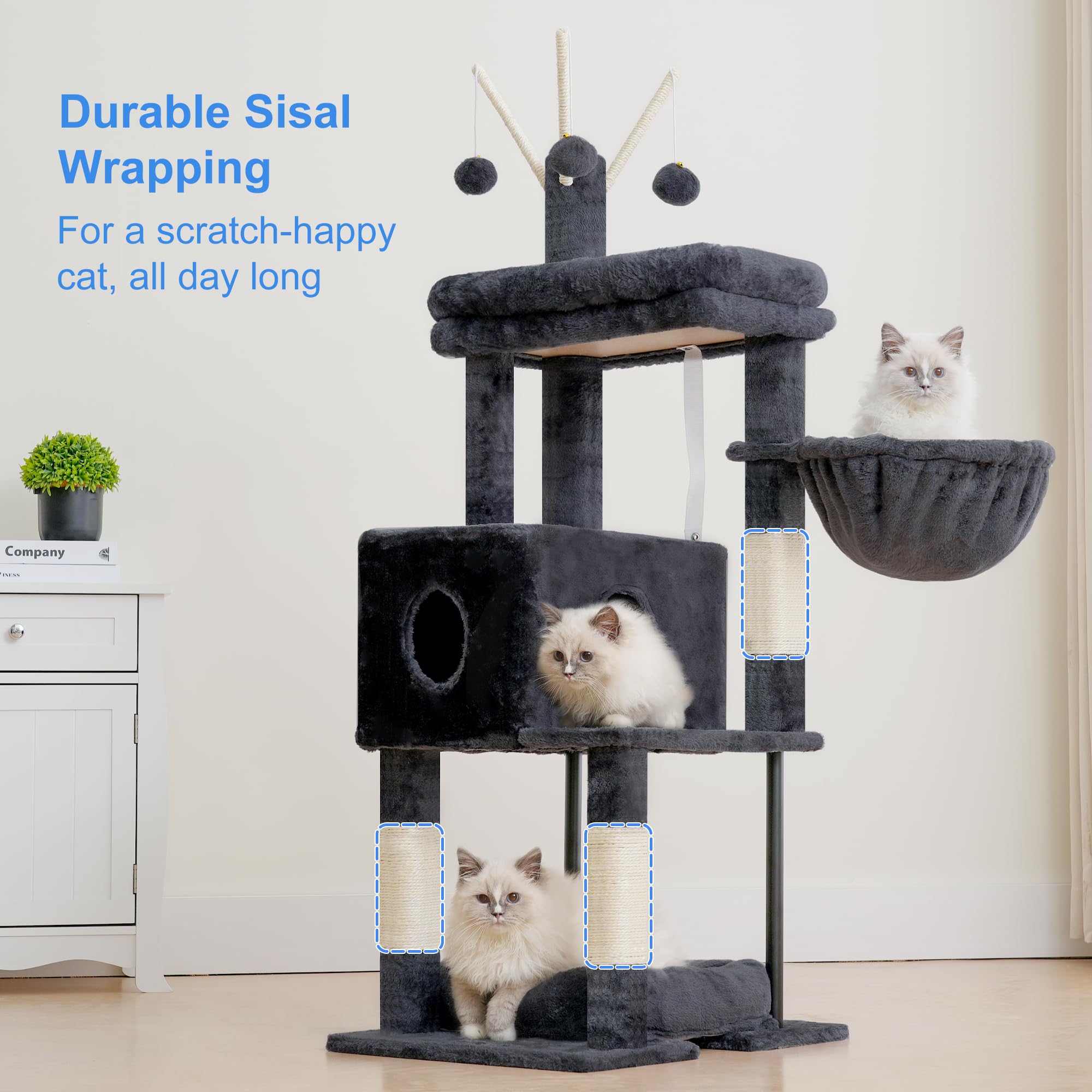 Heybly comparaison taille avec chat montrant échelle et proportions utiles