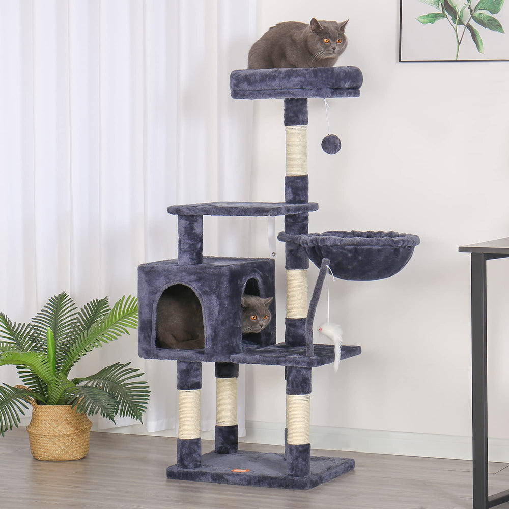 Heybly échelle de taille comparée à un chat illustrant proportions