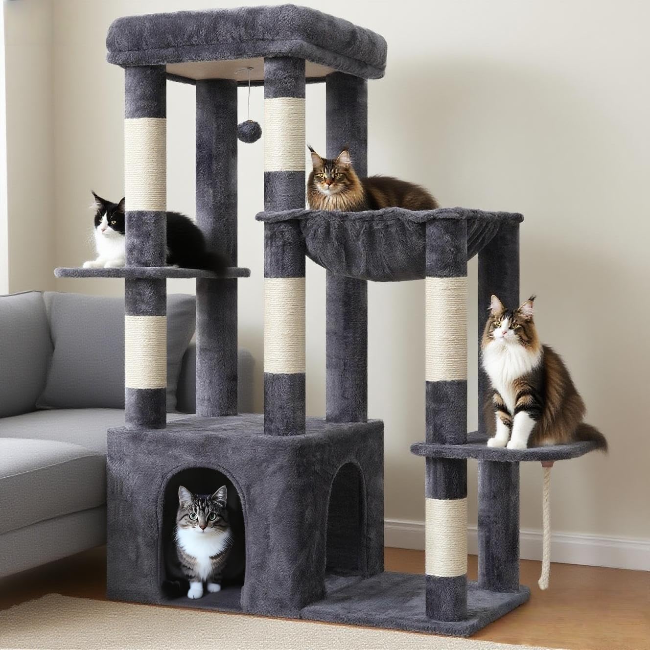 Heybly comparaison d'échelle indiquant taille adaptée aux grands chats