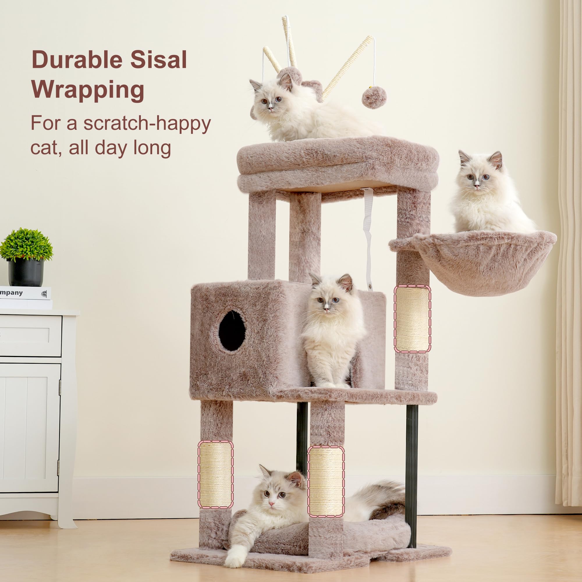 Heybly arbre à chat à côté d'un chat pour comparaison de taille et d'échelle visuelle