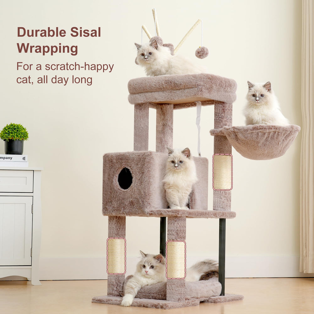 Heybly arbre à chat à côté d'un chat pour comparaison de taille et d'échelle visuelle