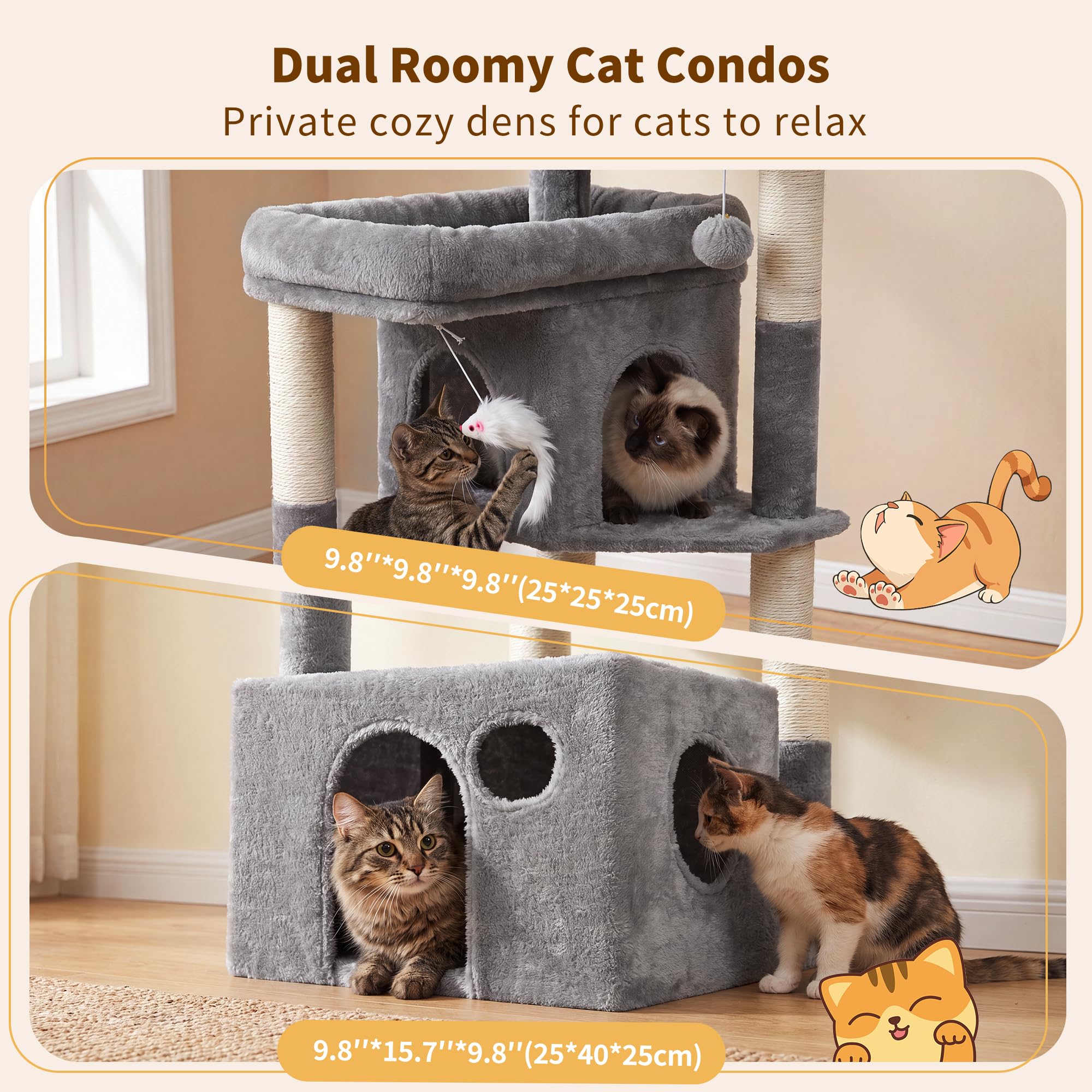 Heybly intérieur du condo doux offrant intimité et confort au chaton