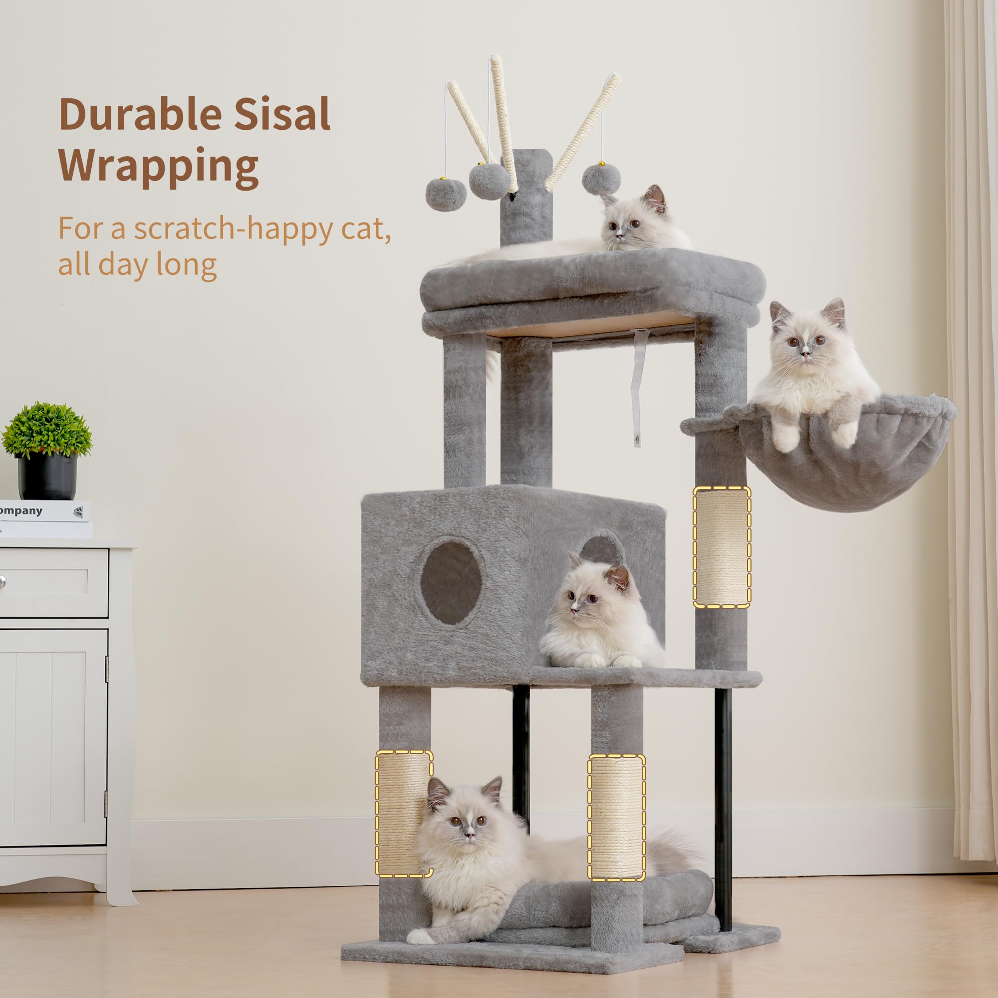Heybly arbre en situation avec chat utilisant l'espace vertical
