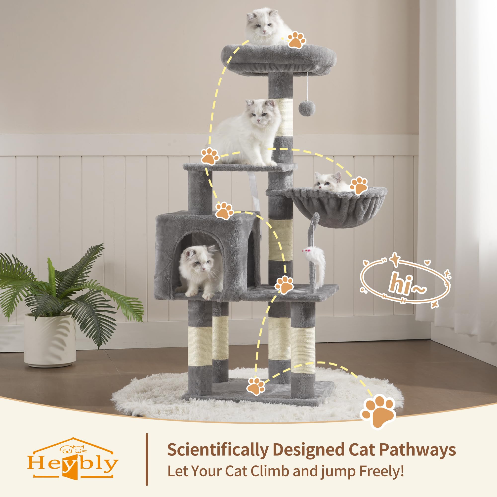 Heybly chat utilisant les niveaux stimulant exercice quotidien