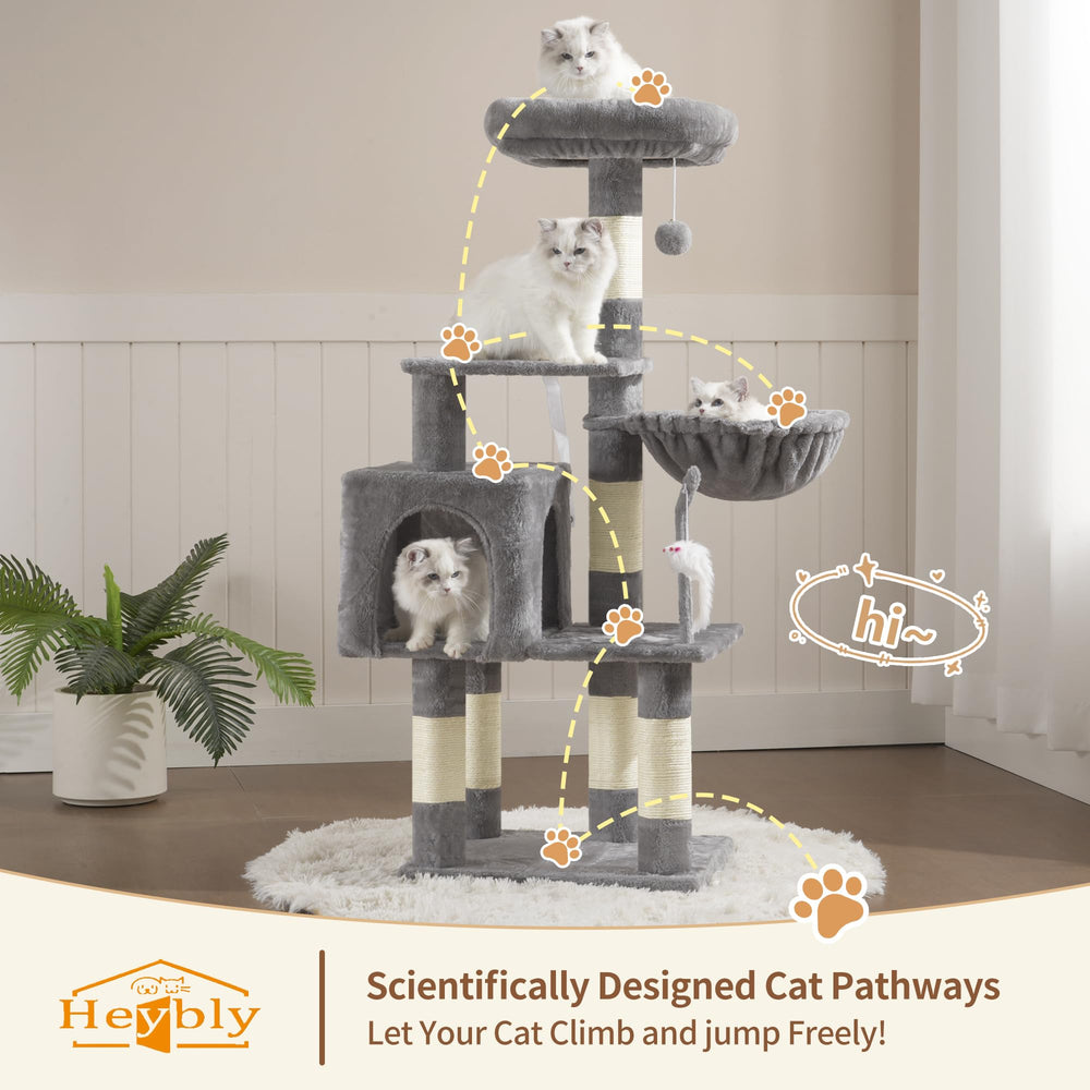 Heybly chat utilisant les niveaux stimulant exercice quotidien