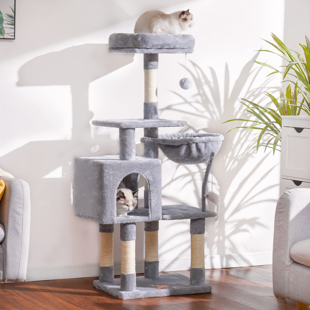 Heybly installé en intérieur économisant l'espace et stimulant chat