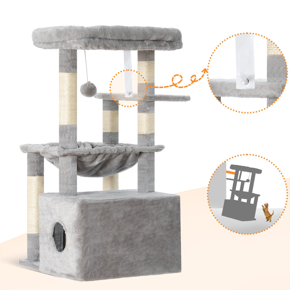 Heybly comparaison de taille montrant dimensions adaptées aux chatons