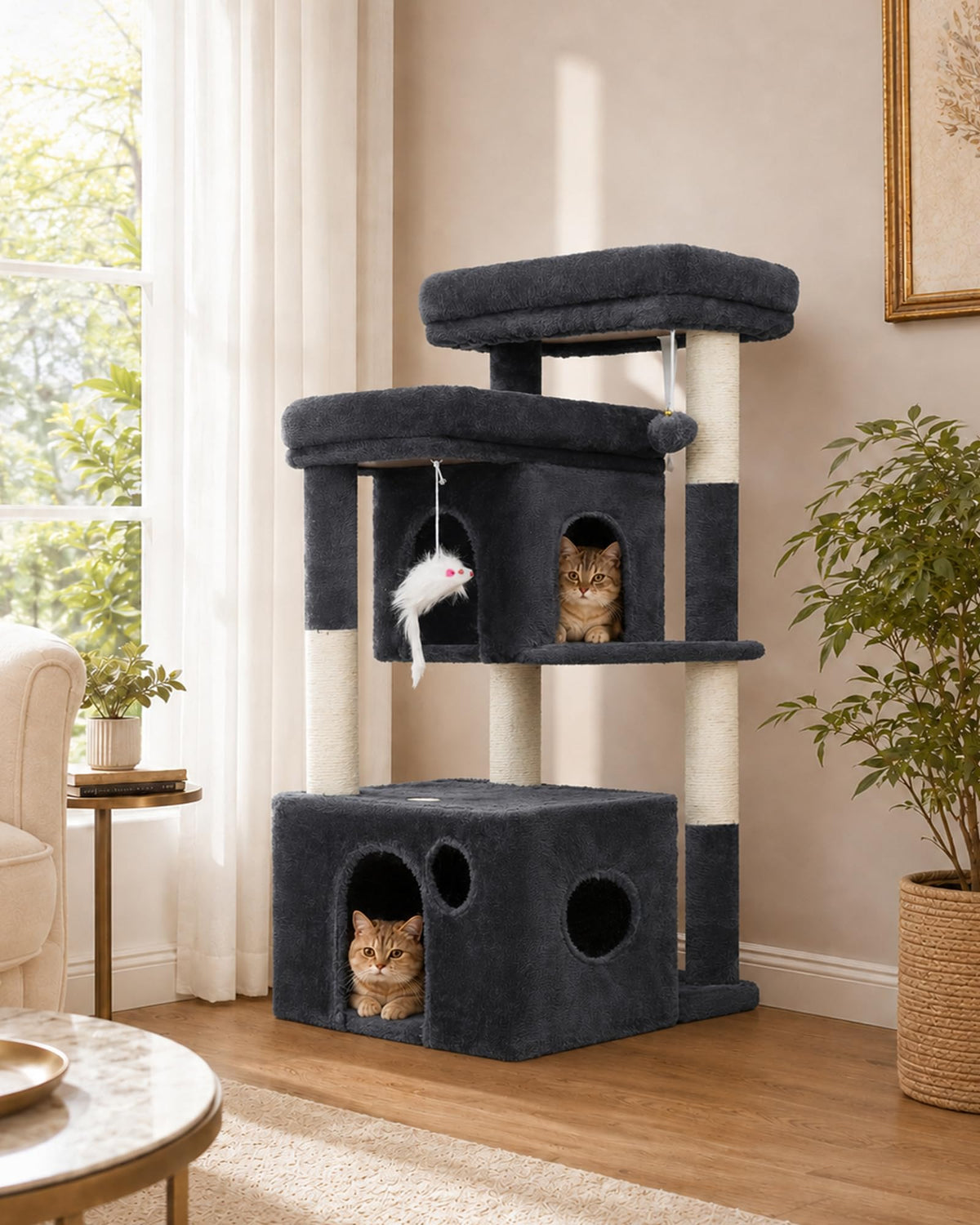 Heybly arbre à chat face avant montrant stabilité et design compact