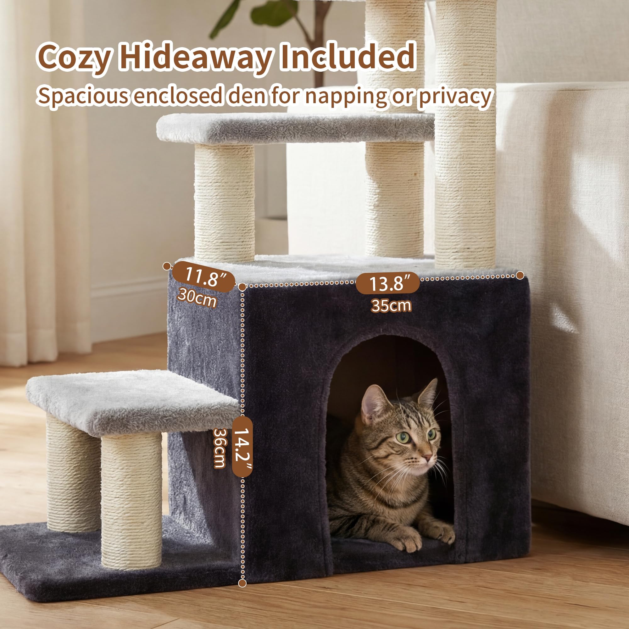 Heybly échelle comparée à un chat illustrant capacité pour petits animaux