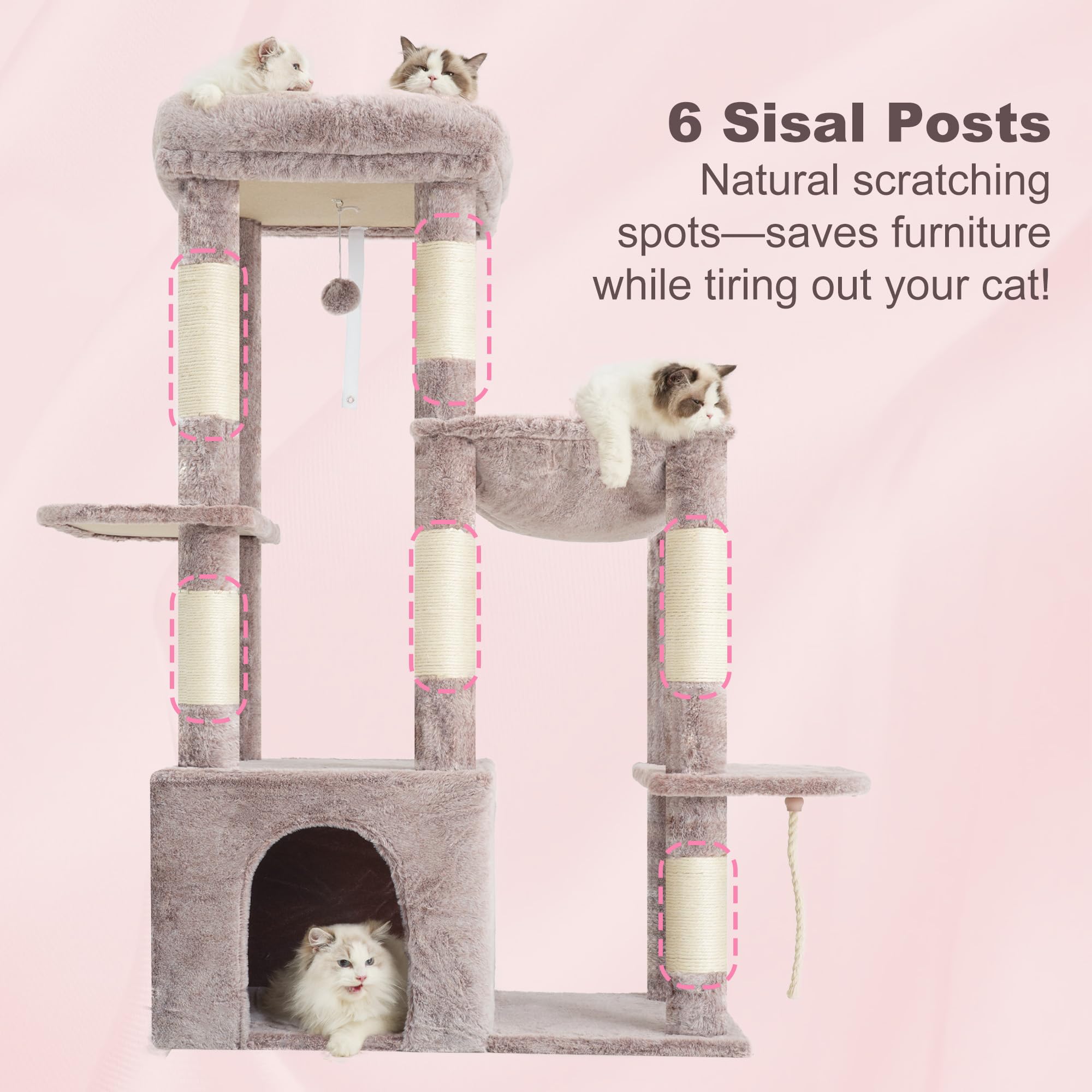 Heybly arbre à chat en salon ajoutant espace de jeux