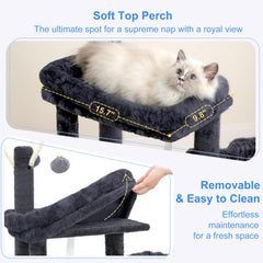 Heybly niche spacieuse pour repos sécurisé et intimité du chat