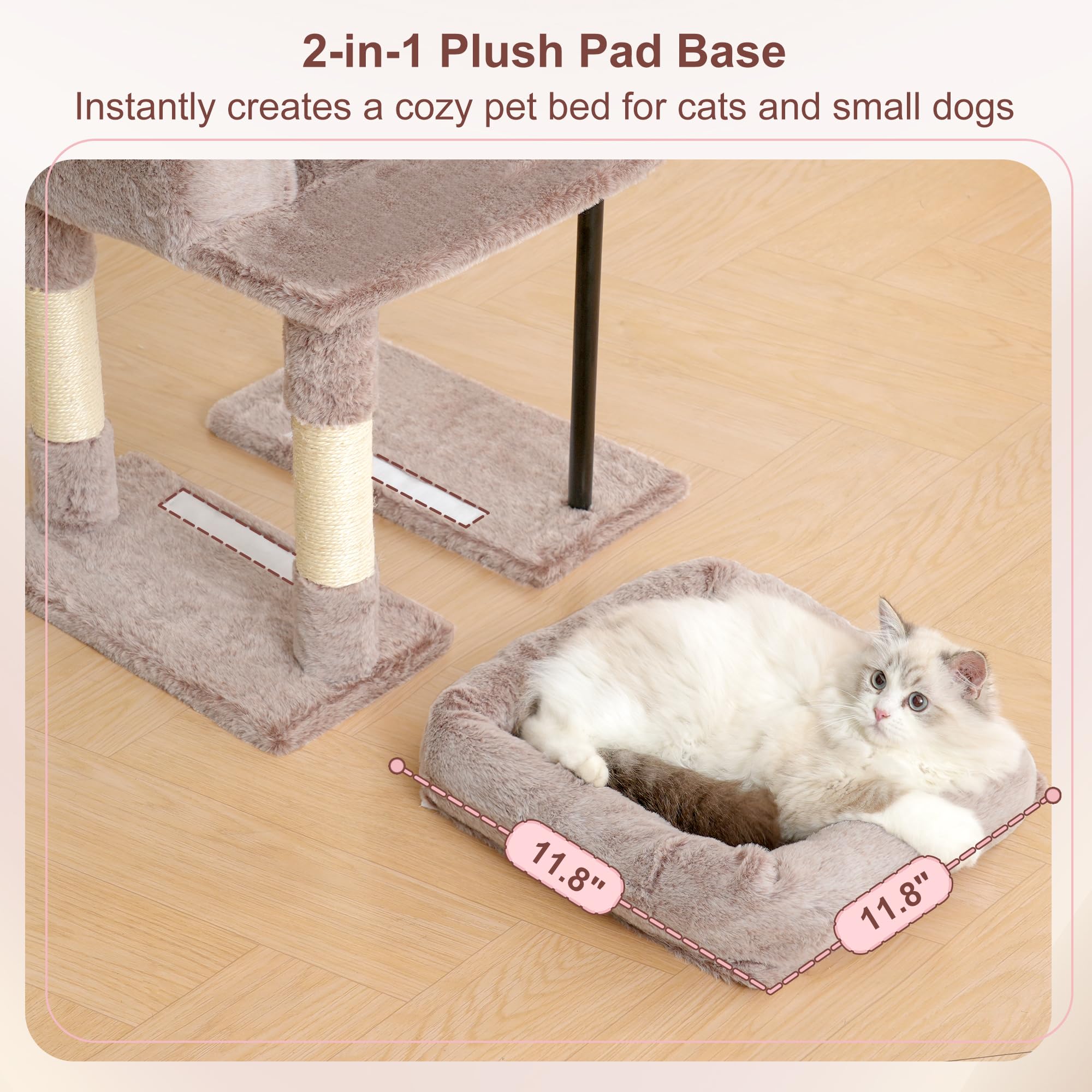 Heybly structure avec plateformes illustrant accès facilité pour chats âgés