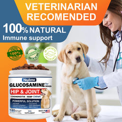 HEYISME chiot prenant la friandise, favorise acceptation quotidienne