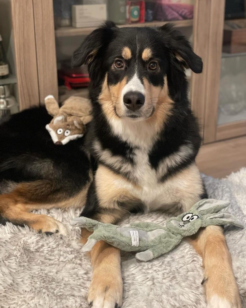 HGB chiot câlin avec jouet, apportant confort et compagnie apaisante