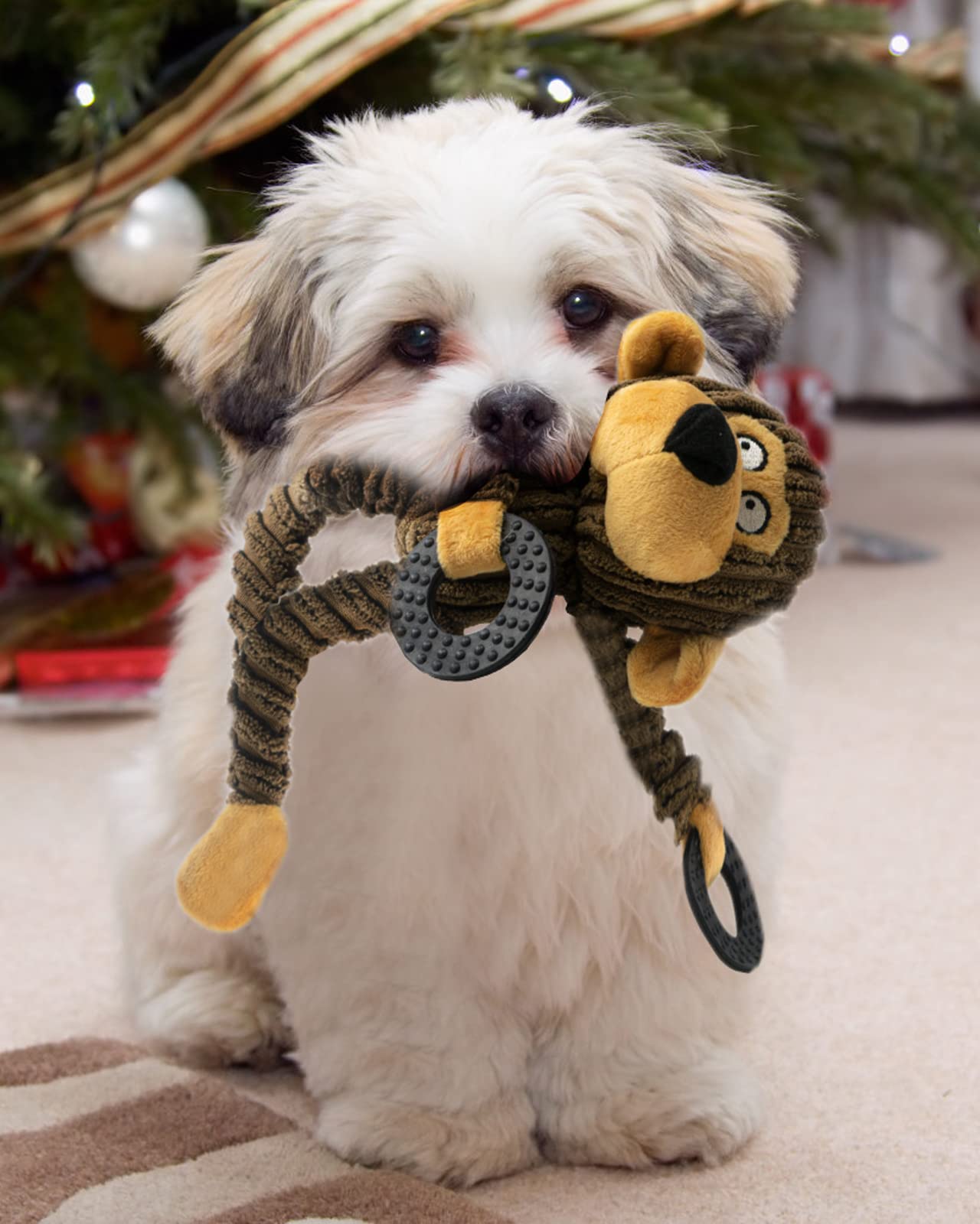 Petit chien jouant avec HGB Squeaky Monkey, divertissement assuré