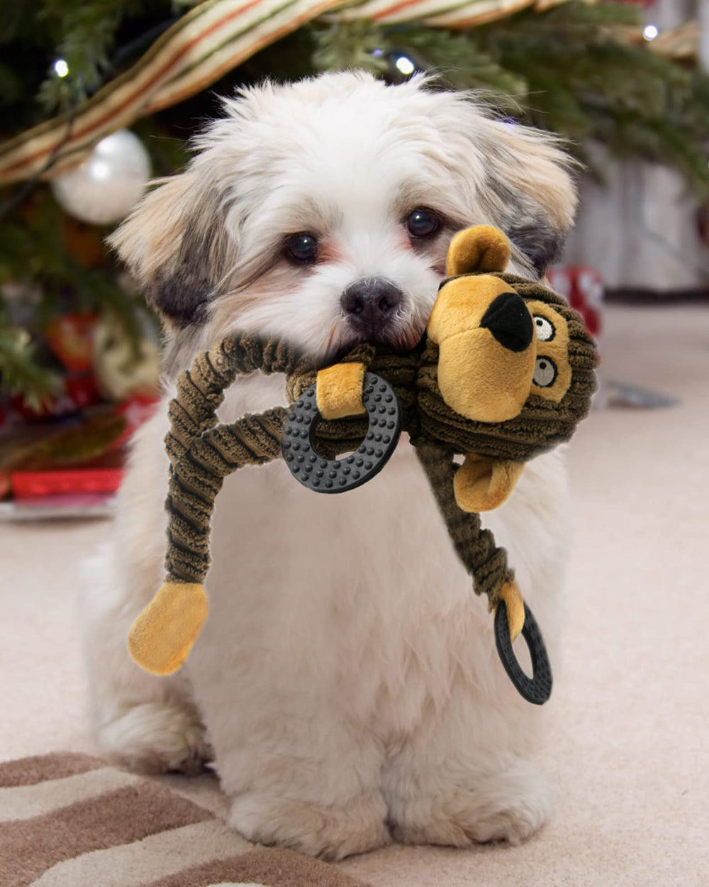 Petit chien jouant avec HGB Squeaky Monkey, divertissement assuré