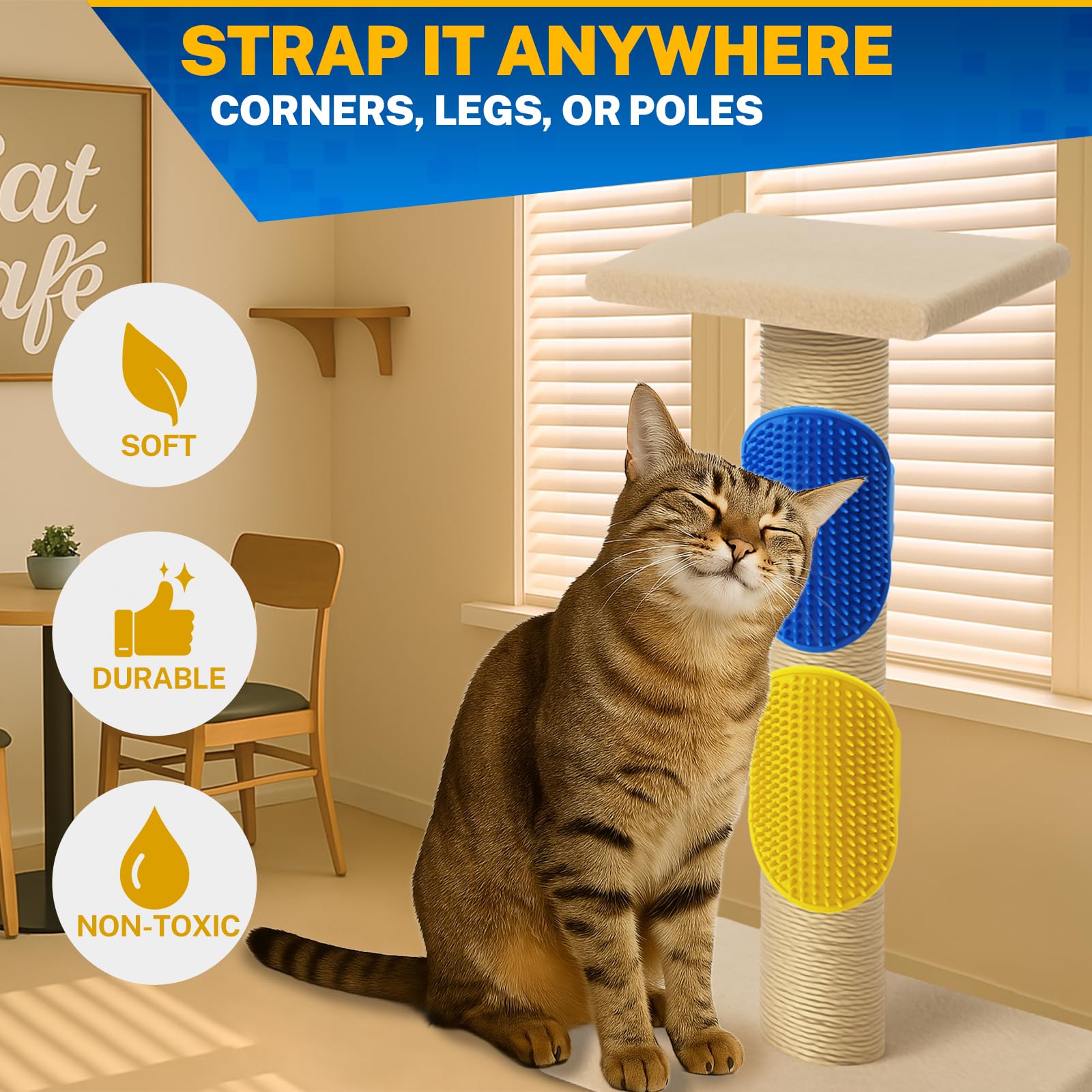 HGEKLIZV comparaison taille chat illustrant adaptation petites tailles