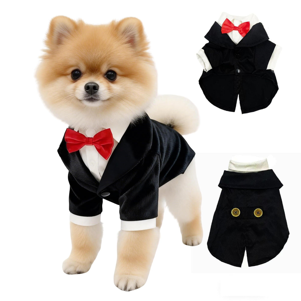 HGJLM smoking pour chien vue de face montrant style formel élégant
