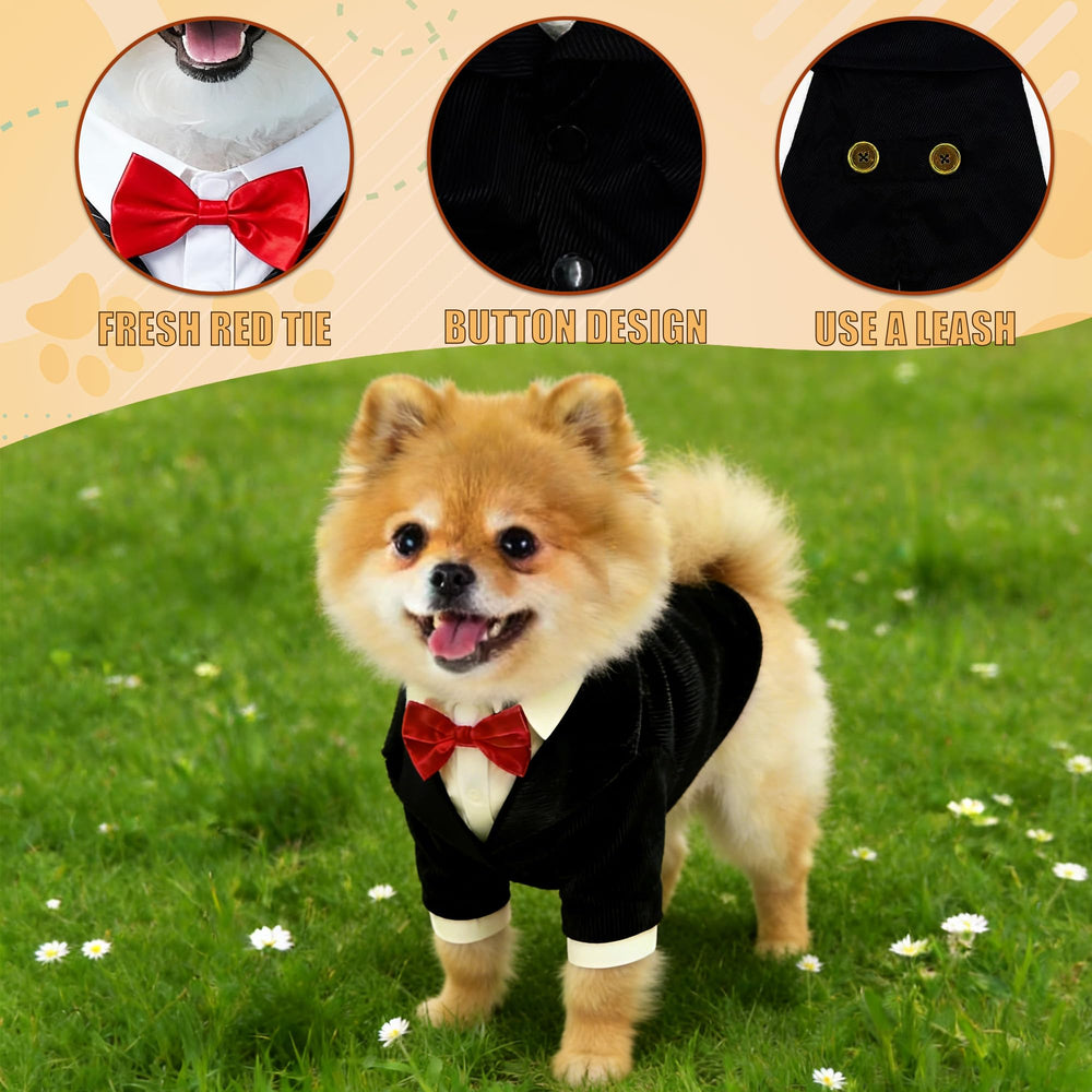 HGJLM chiot portant le smoking lors d'un événement apportant style instantané