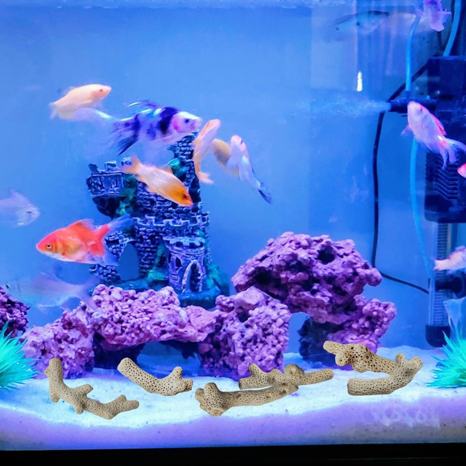 HHCSMDIYOYU corail installé dans un étang pour eau plus claire et plus stable