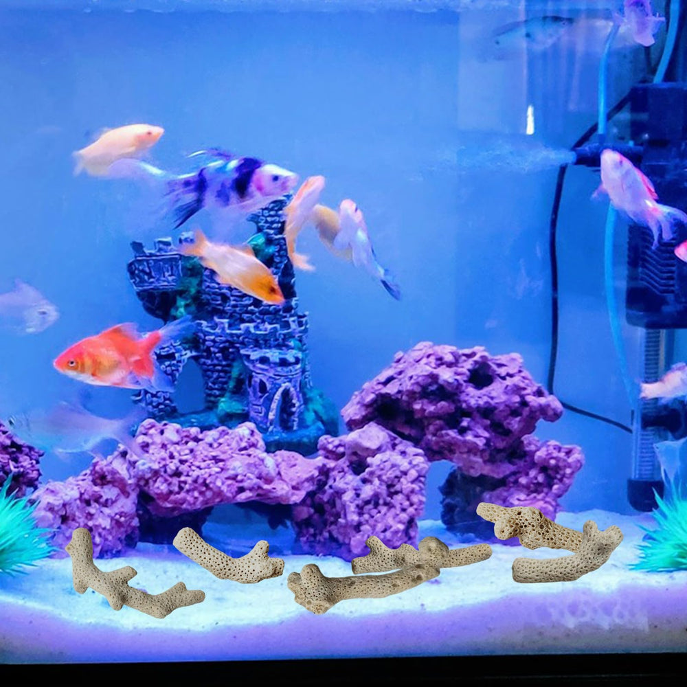 HHCSMDIYOYU corail installé dans un étang pour eau plus claire et plus stable