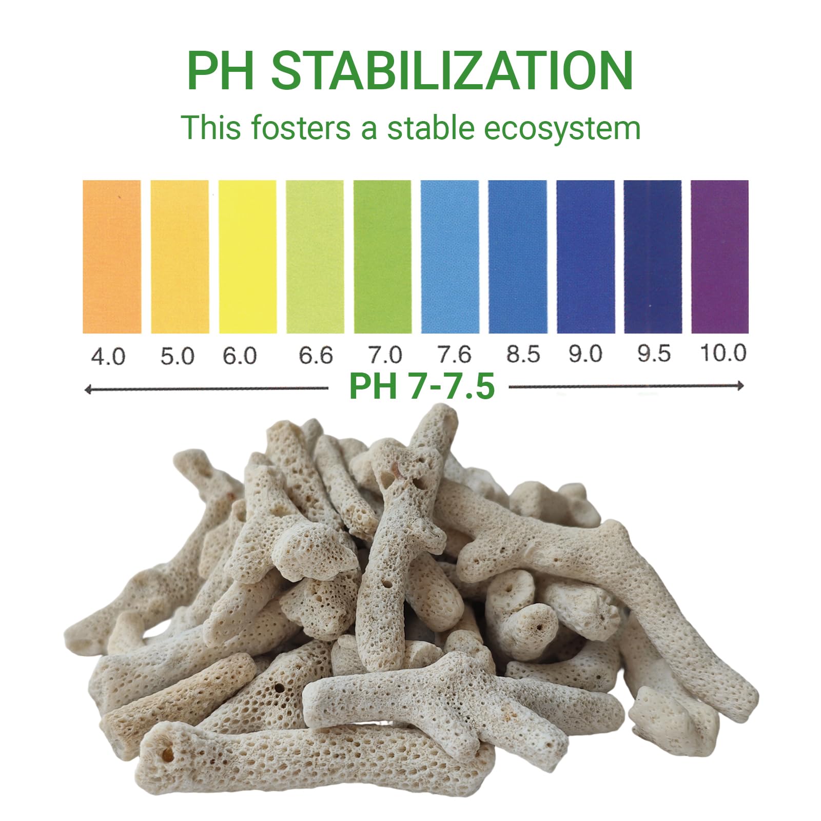 HHCSMDIYOYU sac-mesh en place dans filtre pour filtration pratique et réutilisable