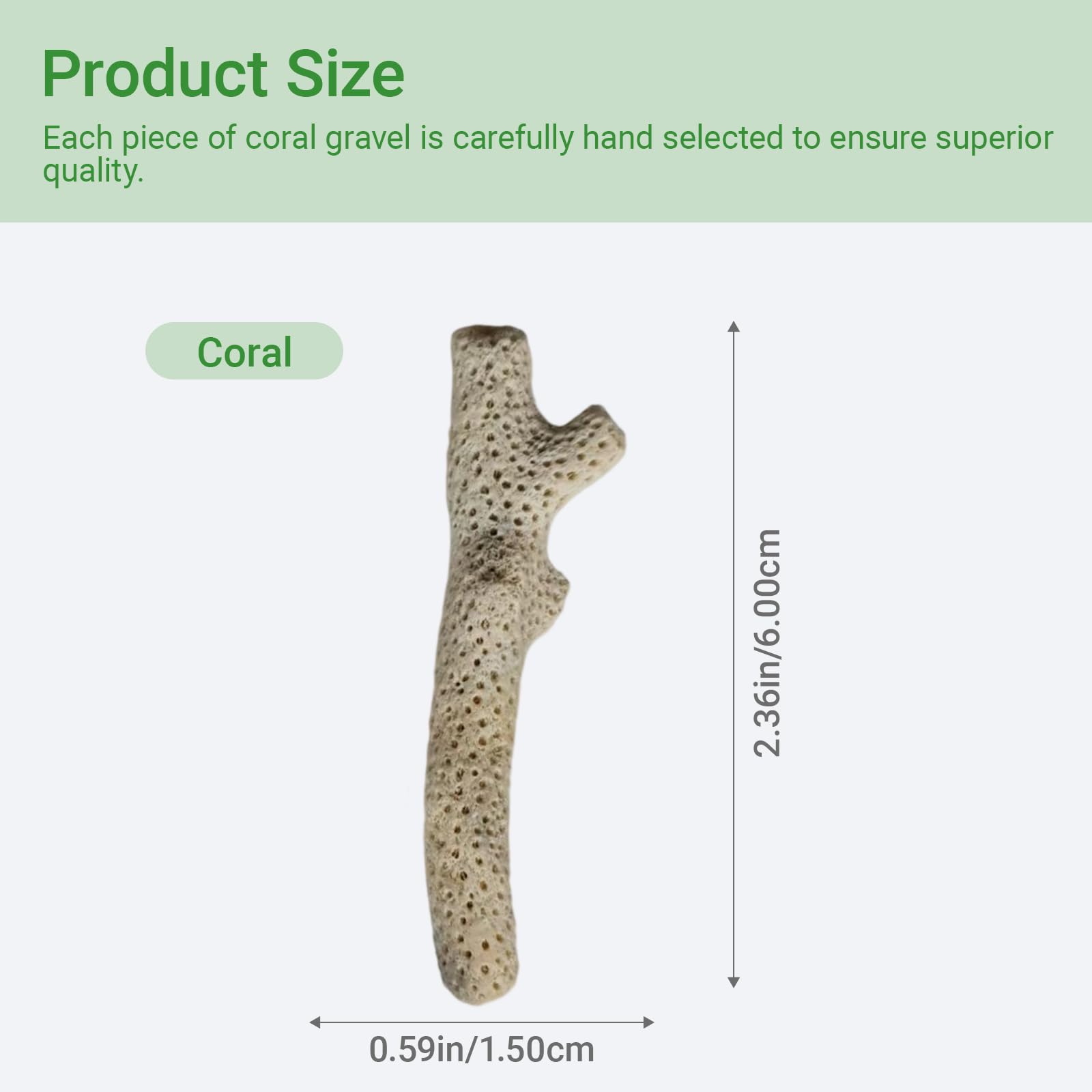 HHCSMDIYOYU gros plan sur texture de corail pour stabilité pH et esthétique