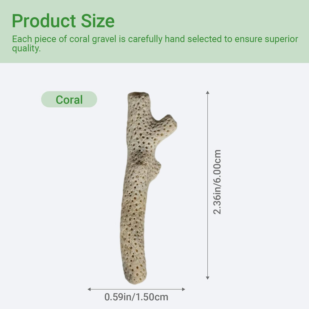 HHCSMDIYOYU gros plan sur texture de corail pour stabilité pH et esthétique