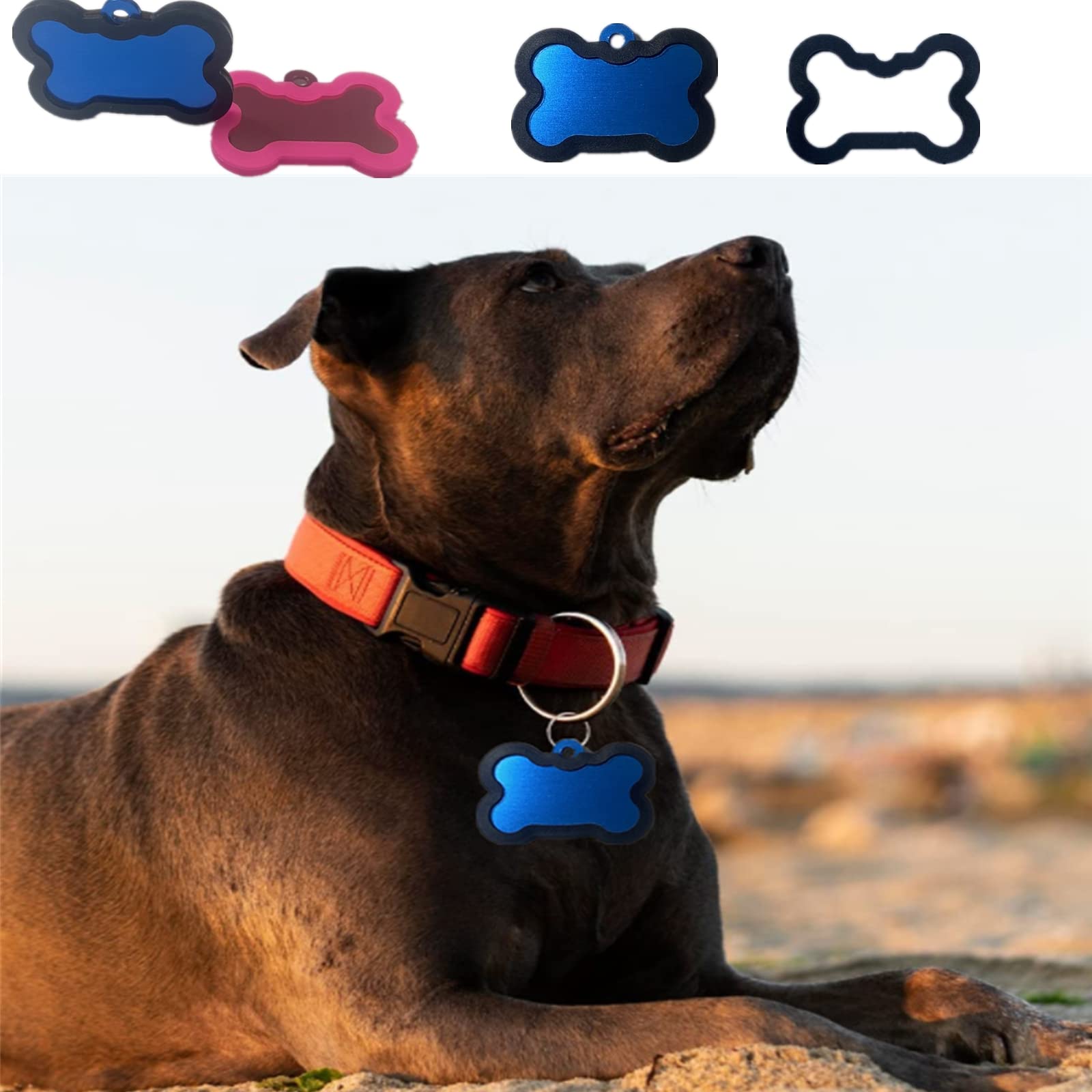 HHGJLP housse fixée au collier d'un chien pour moins de tintement