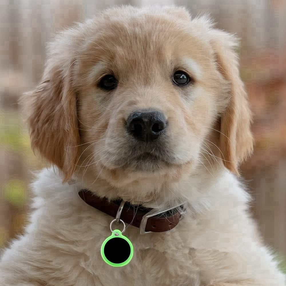 HHGJLP vert phosphorescent brille la nuit pour meilleure visibilité
