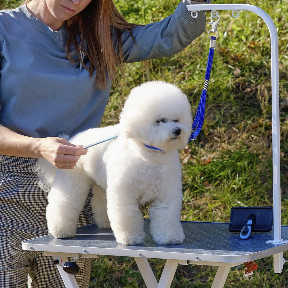 HhiMyOct comparaison taille avec chien, ajustement pour toutes tailles